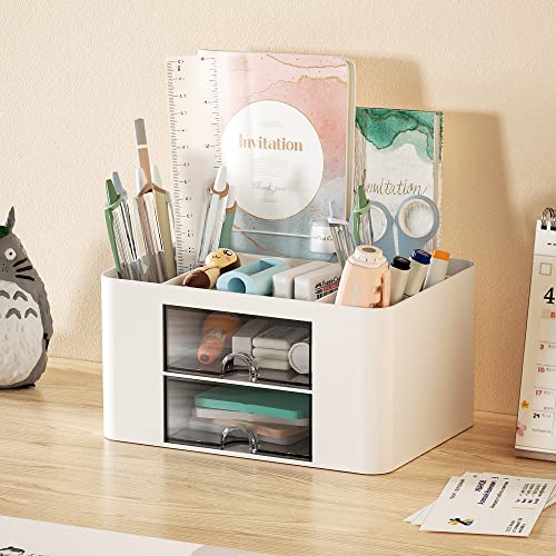 Marbrasse Pen Organizer with 2 Drawer, Multi-Functional for Daily Use